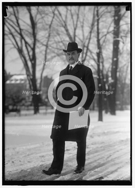 Houston, David Franklin, Secretary Of Agriculture, between 1914 and 1918. Creator: Harris & Ewing.