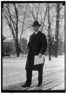 Houston, David Franklin, Secretary Of Agriculture, between 1914 and 1918. Creator: Harris & Ewing
