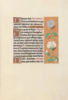 Hours of Queen Isabella the Catholic, Queen of Spain: Fol. 47r, c. 1500. Creator: Master of the First Prayerbook of Maximillian (Flemish, c. 1444-1519); Associates, and
