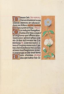 Hours of Queen Isabella the Catholic, Queen of Spain: Fol. 47r, c. 1500. Creator: Master of the First Prayerbook of Maximillian (Flemish, c. 1444-1519); Associates, and