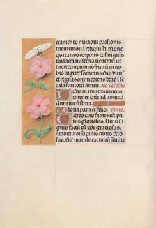 Hours of Queen Isabella the Catholic, Queen of Spain: Fol. 47v, c. 1500. Creator: Master of the First Prayerbook of Maximillian (Flemish, c. 1444-1519); Associates, and
