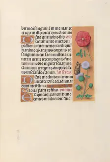 Hours of Queen Isabella the Catholic, Queen of Spain: Fol. 46r, c. 1500. Creator: Master of the First Prayerbook of Maximillian (Flemish, c. 1444-1519); Associates, and