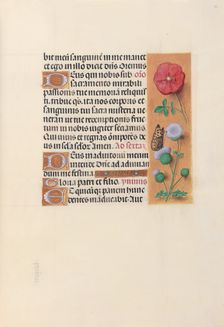 Hours of Queen Isabella the Catholic, Queen of Spain: Fol. 46r, c. 1500. Creator: Master of the First Prayerbook of Maximillian (Flemish, c. 1444-1519); Associates, and