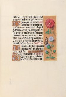 Hours of Queen Isabella the Catholic, Queen of Spain: Fol. 46r, c. 1500. Creator: Master of the First Prayerbook of Maximillian (Flemish, c. 1444-1519); Associates, and