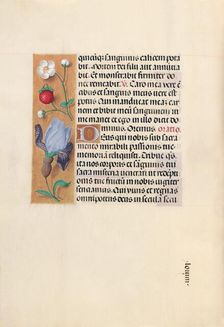 Hours of Queen Isabella the Catholic, Queen of Spain: Fol. 46v, c. 1500. Creator: Master of the First Prayerbook of Maximillian (Flemish, c. 1444-1519); Associates, and
