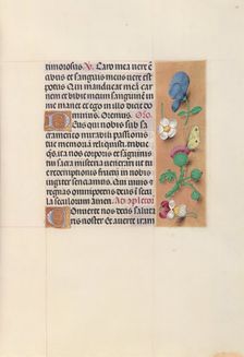 Hours of Queen Isabella the Catholic, Queen of Spain: Fol. 48r, c. 1500. Creator: Master of the First Prayerbook of Maximillian (Flemish, c. 1444-1519); Associates, and