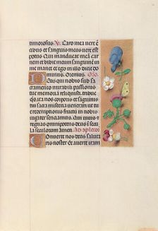 Hours of Queen Isabella the Catholic, Queen of Spain: Fol. 48r, c. 1500. Creator: Master of the First Prayerbook of Maximillian (Flemish, c. 1444-1519); Associates, and