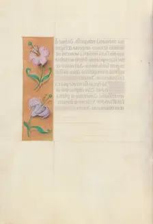 Hours of Queen Isabella the Catholic, Queen of Spain: Fol. 49v, c. 1500. Creator: Master of the First Prayerbook of Maximillian (Flemish, c. 1444-1519); Associates, and