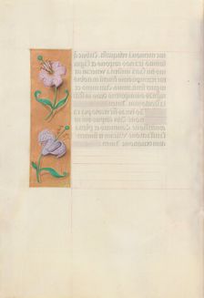 Hours of Queen Isabella the Catholic, Queen of Spain: Fol. 49v, c. 1500. Creator: Master of the First Prayerbook of Maximillian (Flemish, c. 1444-1519); Associates, and