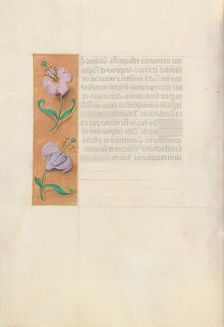 Hours of Queen Isabella the Catholic, Queen of Spain: Fol. 49v, c. 1500. Creator: Master of the First Prayerbook of Maximillian (Flemish, c. 1444-1519); Associates, and