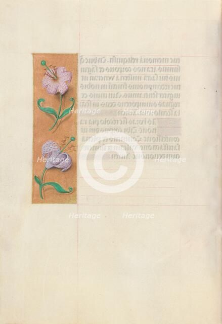 Hours of Queen Isabella the Catholic, Queen of Spain: Fol. 49v, c. 1500. Creator: Master of the First Prayerbook of Maximillian (Flemish, c. 1444-1519); Associates, and.