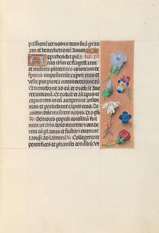 Hours of Queen Isabella the Catholic, Queen of Spain: Fol. 54r, c. 1500. Creator: Master of the First Prayerbook of Maximillian (Flemish, c. 1444-1519); Associates, and