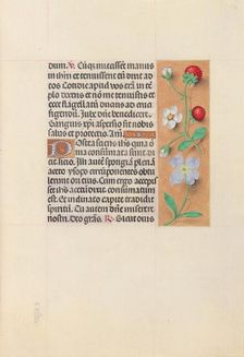 Hours of Queen Isabella the Catholic, Queen of Spain: Fol. 55r, c. 1500. Creator: Master of the First Prayerbook of Maximillian (Flemish, c. 1444-1519); Associates, and
