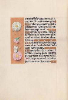 Hours of Queen Isabella the Catholic, Queen of Spain: Fol. 58v, c. 1500. Creator: Master of the First Prayerbook of Maximillian (Flemish, c. 1444-1519); Associates, and