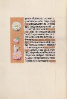 Hours of Queen Isabella the Catholic, Queen of Spain: Fol. 58v, c. 1500. Creator: Master of the First Prayerbook of Maximillian (Flemish, c. 1444-1519); Associates, and