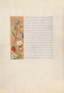 Hours of Queen Isabella the Catholic, Queen of Spain: Fol. 60v, c. 1500. Creator: Master of the First Prayerbook of Maximillian (Flemish, c. 1444-1519); Associates, and