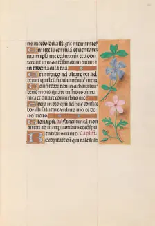 Hours of Queen Isabella the Catholic, Queen of Spain: Fol. 62r, c. 1500. Creator: Master of the First Prayerbook of Maximillian (Flemish, c. 1444-1519); Associates, and