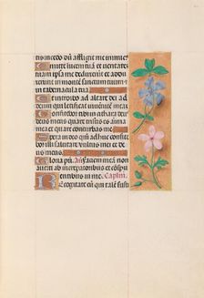 Hours of Queen Isabella the Catholic, Queen of Spain: Fol. 62r, c. 1500. Creator: Master of the First Prayerbook of Maximillian (Flemish, c. 1444-1519); Associates, and