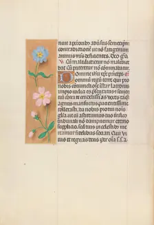 Hours of Queen Isabella the Catholic, Queen of Spain: Fol. 62v, c. 1500. Creator: Master of the First Prayerbook of Maximillian (Flemish, c. 1444-1519); Associates, and