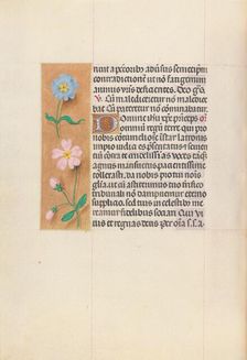 Hours of Queen Isabella the Catholic, Queen of Spain: Fol. 62v, c. 1500. Creator: Master of the First Prayerbook of Maximillian (Flemish, c. 1444-1519); Associates, and