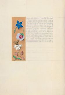 Hours of Queen Isabella the Catholic, Queen of Spain: Fol. 71v, c. 1500. Creator: Master of the First Prayerbook of Maximillian (Flemish, c. 1444-1519); Associates, and