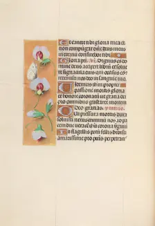 Hours of Queen Isabella the Catholic, Queen of Spain: Fol. 74v, c. 1500. Creator: Master of the First Prayerbook of Maximillian (Flemish, c. 1444-1519); Associates, and