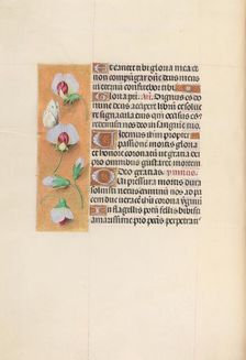 Hours of Queen Isabella the Catholic, Queen of Spain: Fol. 74v, c. 1500. Creator: Master of the First Prayerbook of Maximillian (Flemish, c. 1444-1519); Associates, and