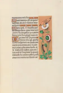 Hours of Queen Isabella the Catholic, Queen of Spain: Fol. 76r, c. 1500. Creator: Master of the First Prayerbook of Maximillian (Flemish, c. 1444-1519); Associates, and