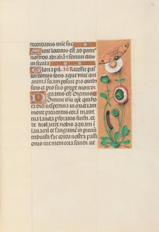 Hours of Queen Isabella the Catholic, Queen of Spain: Fol. 76r, c. 1500. Creator: Master of the First Prayerbook of Maximillian (Flemish, c. 1444-1519); Associates, and
