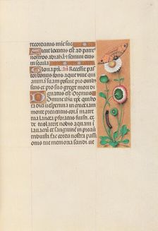 Hours of Queen Isabella the Catholic, Queen of Spain: Fol. 76r, c. 1500. Creator: Master of the First Prayerbook of Maximillian (Flemish, c. 1444-1519); Associates, and