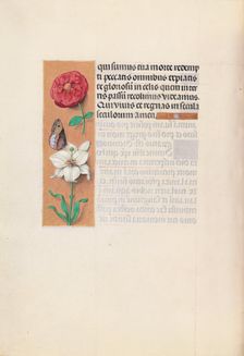 Hours of Queen Isabella the Catholic, Queen of Spain: Fol. 76v, c. 1500. Creator: Master of the First Prayerbook of Maximillian (Flemish, c. 1444-1519); Associates, and
