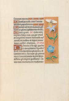 Hours of Queen Isabella the Catholic, Queen of Spain: Fol. 79r, c. 1500. Creator: Master of the First Prayerbook of Maximillian (Flemish, c. 1444-1519); Associates, and