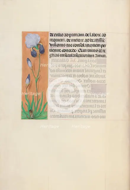 Hours of Queen Isabella the Catholic, Queen of Spain: Fol. 79v, c. 1500. Creator: Master of the First Prayerbook of Maximillian (Flemish, c. 1444-1519); Associates, and.