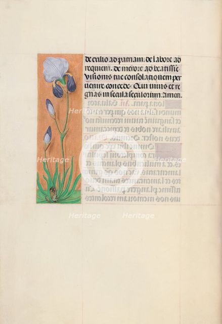Hours of Queen Isabella the Catholic, Queen of Spain: Fol. 79v, c. 1500. Creator: Master of the First Prayerbook of Maximillian (Flemish, c. 1444-1519); Associates, and.
