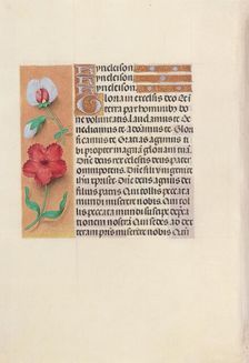 Hours of Queen Isabella the Catholic, Queen of Spain: Fol. 89v, c. 1500. Creator: Master of the First Prayerbook of Maximillian (Flemish, c. 1444-1519); Associates, and
