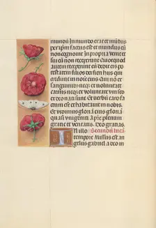 Hours of Queen Isabella the Catholic, Queen of Spain: Fol. 93v, c. 1500. Creator: Master of the First Prayerbook of Maximillian (Flemish, c. 1444-1519); Associates, and
