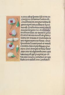 Hours of Queen Isabella the Catholic, Queen of Spain: Fol. 91v, c. 1500. Creator: Master of the First Prayerbook of Maximillian (Flemish, c. 1444-1519); Associates, and