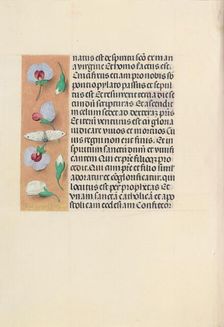 Hours of Queen Isabella the Catholic, Queen of Spain: Fol. 91v, c. 1500. Creator: Master of the First Prayerbook of Maximillian (Flemish, c. 1444-1519); Associates, and