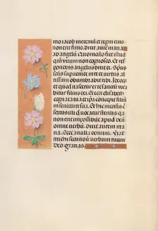 Hours of Queen Isabella the Catholic, Queen of Spain: Fol. 94v, c. 1500. Creator: Master of the First Prayerbook of Maximillian (Flemish, c. 1444-1519); Associates, and