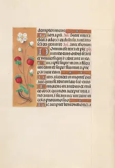 Hours of Queen Isabella the Catholic, Queen of Spain: Fol. 102v, c. 1500. Creator: Master of the First Prayerbook of Maximillian (Flemish, c. 1444-1519); Associates, and