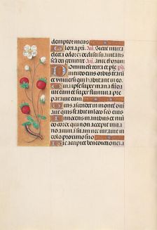 Hours of Queen Isabella the Catholic, Queen of Spain: Fol. 102v, c. 1500. Creator: Master of the First Prayerbook of Maximillian (Flemish, c. 1444-1519); Associates, and