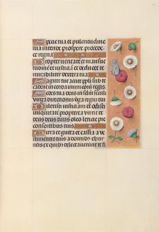 Hours of Queen Isabella the Catholic, Queen of Spain: Fol. 104r, c. 1500. Creator: Master of the First Prayerbook of Maximillian (Flemish, c. 1444-1519); Associates, and