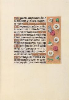 Hours of Queen Isabella the Catholic, Queen of Spain: Fol. 104r, c. 1500. Creator: Master of the First Prayerbook of Maximillian (Flemish, c. 1444-1519); Associates, and