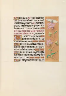 Hours of Queen Isabella the Catholic, Queen of Spain: Fol. 107r, c. 1500. Creator: Master of the First Prayerbook of Maximillian (Flemish, c. 1444-1519); Associates, and