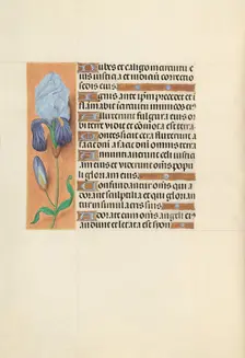 Hours of Queen Isabella the Catholic, Queen of Spain: Fol. 108v, c. 1500. Creator: Master of the First Prayerbook of Maximillian (Flemish, c. 1444-1519); Associates, and