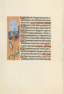 Hours of Queen Isabella the Catholic, Queen of Spain: Fol. 108v, c. 1500. Creator: Master of the First Prayerbook of Maximillian (Flemish, c. 1444-1519); Associates, and
