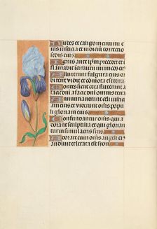 Hours of Queen Isabella the Catholic, Queen of Spain: Fol. 108v, c. 1500. Creator: Master of the First Prayerbook of Maximillian (Flemish, c. 1444-1519); Associates, and