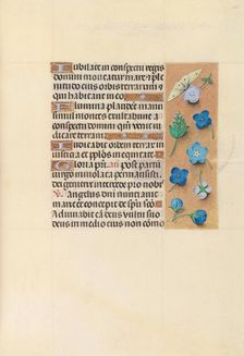 Hours of Queen Isabella the Catholic, Queen of Spain: Fol. 110r, c. 1500. Creator: Master of the First Prayerbook of Maximillian (Flemish, c. 1444-1519); Associates, and