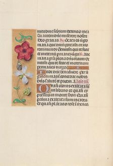 Hours of Queen Isabella the Catholic, Queen of Spain: Fol. 111v, c. 1500. Creator: Master of the First Prayerbook of Maximillian (Flemish, c. 1444-1519); Associates, and