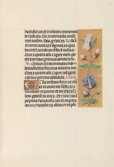 Hours of Queen Isabella the Catholic, Queen of Spain: Fol. 111r, c. 1500. Creator: Master of the First Prayerbook of Maximillian (Flemish, c. 1444-1519); Associates, and
